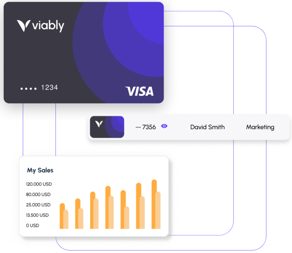 Viably pricing - Global Accounts