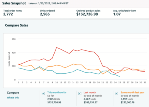 Amazon Seller Central is great at showing revenue, but not cash flow.